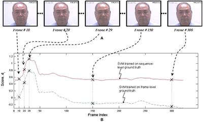 Computer Mediated Automatic Detection of Pain-Related Behavior: Prospect, Progress, Perils